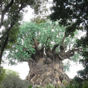 Meet your Posher, Ariana valentina